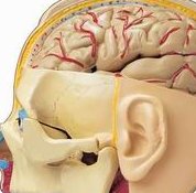 重庆不孕不育选择爱德华（重庆爱德华医院做试管婴儿怎么样）