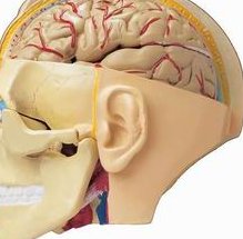 青海能做什么：医院成功率三代试管婴儿