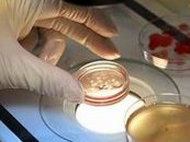 染色体异常不孕能在山西省妇幼保健院做三代试管怀孩子吗？男人染色体有问题能做试管吗？